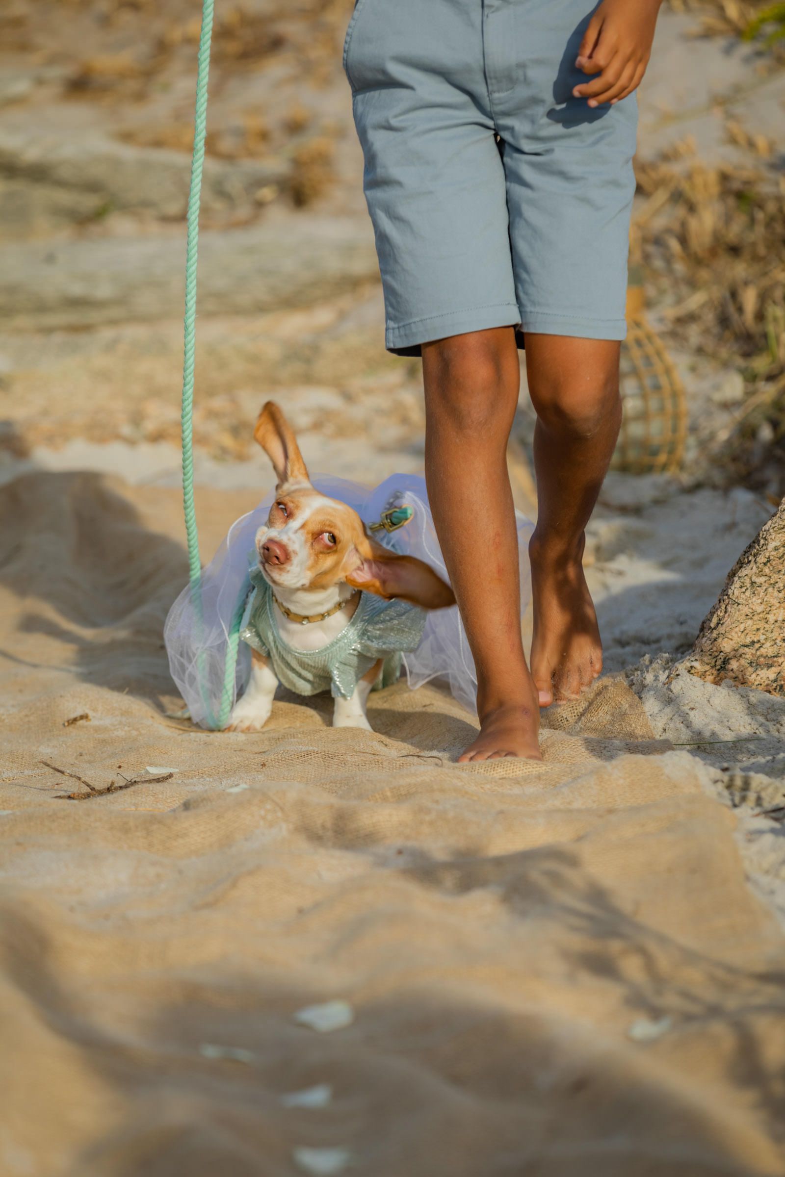 Kamila & Jonas's Cape Cod Beachfront Wedding in Falmouth - 2 - 3