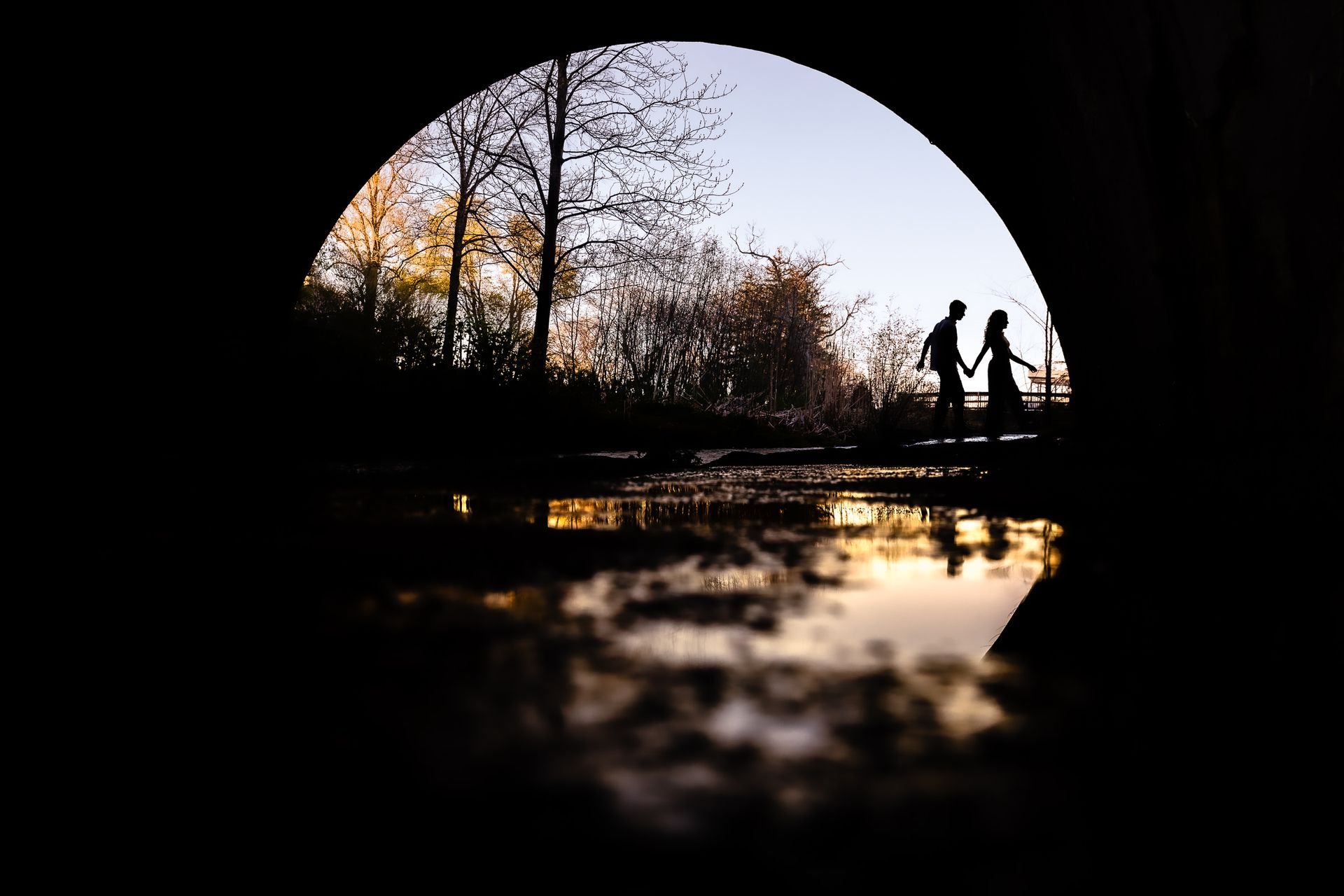 Julia & Andre's Brewster Gardens Engagement - 3 - 1