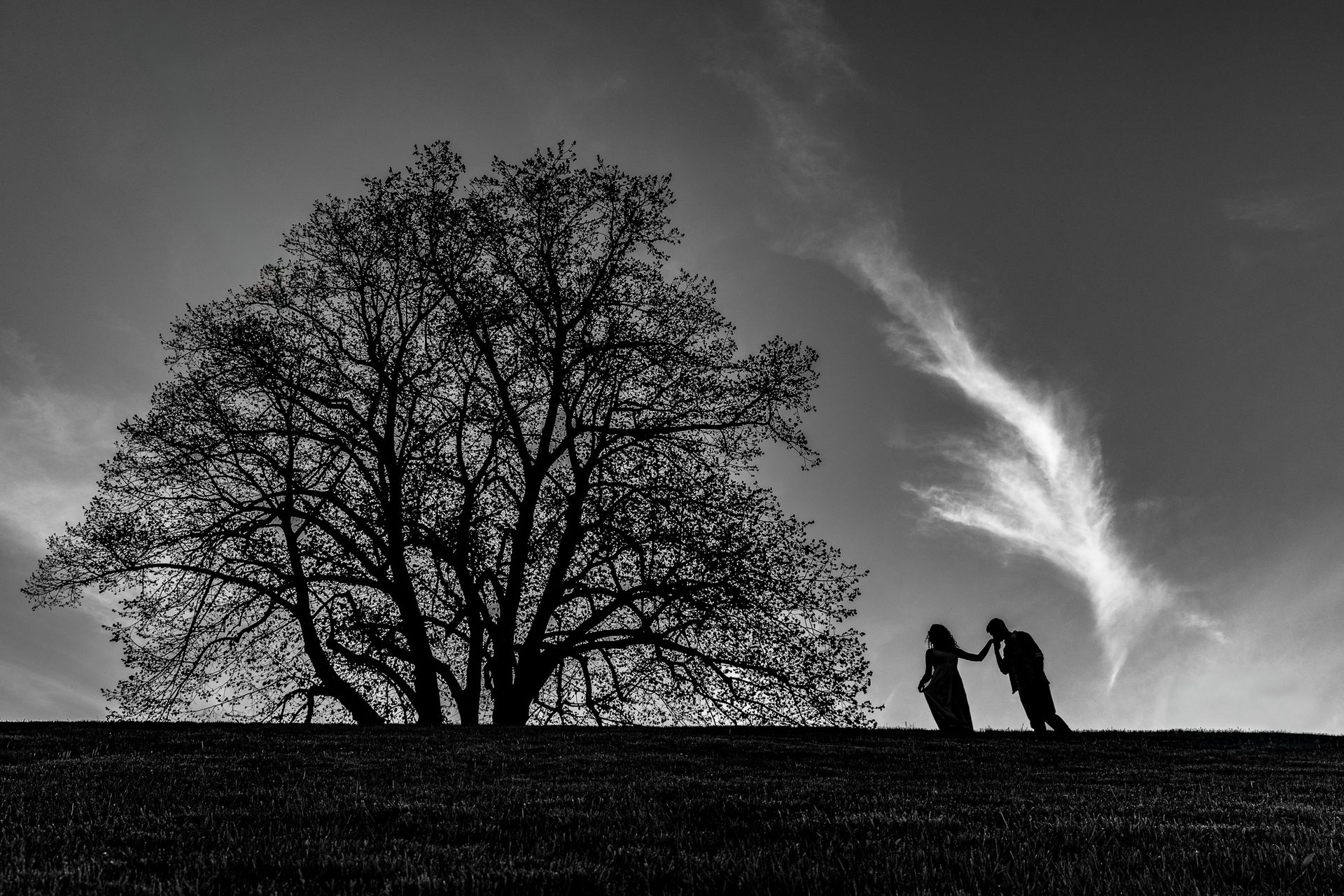 Julia & Andre's Brewster Gardens Engagement - 3 - 0