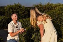 How to Plan the Perfect Surprise Proposal on Cape Cod (and Boston) - 2 - 6