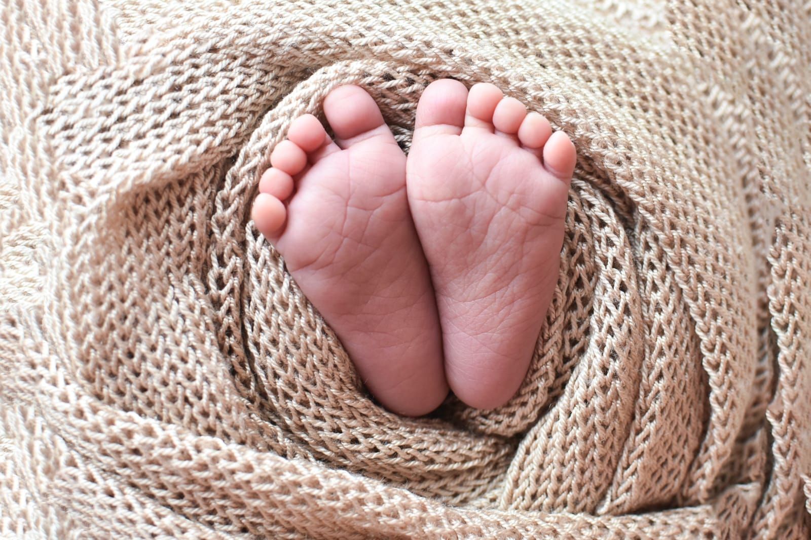 Studio Cida Lopes - 0 - 13