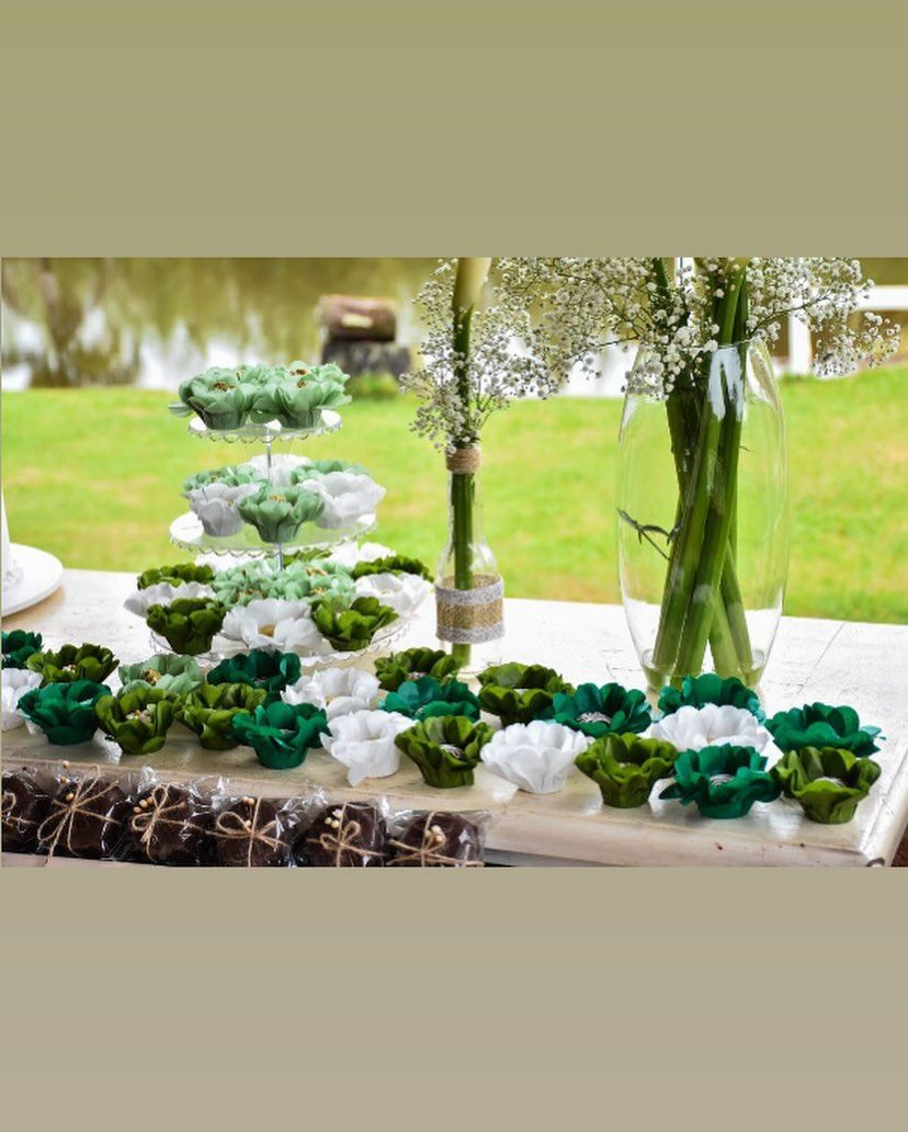 Studio Cida Lopes - 0 - 3