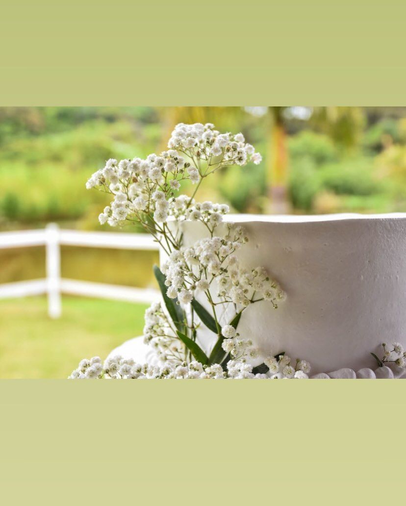 Studio Cida Lopes - 0 - 0