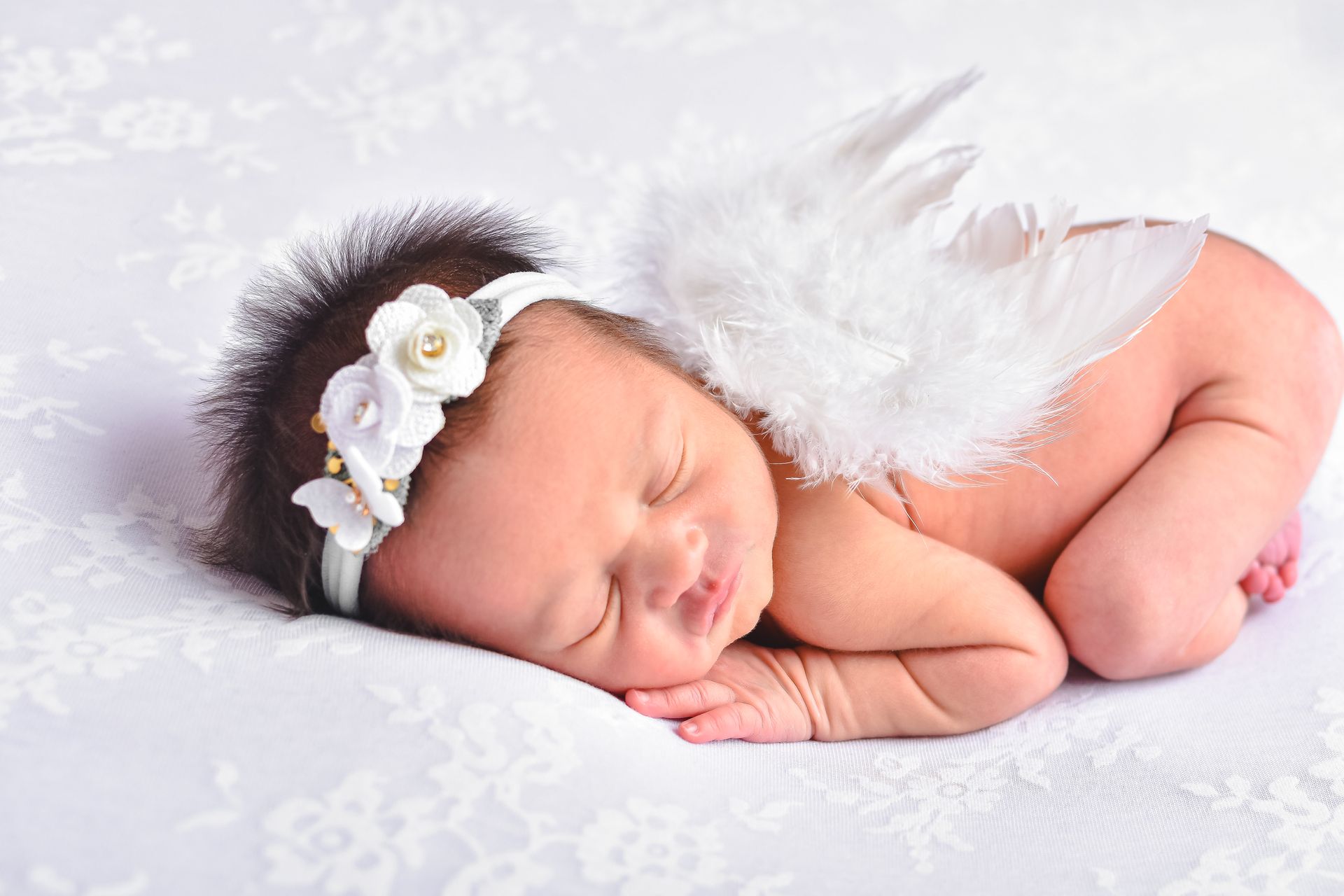 Studio Cida Lopes - 0 - 21