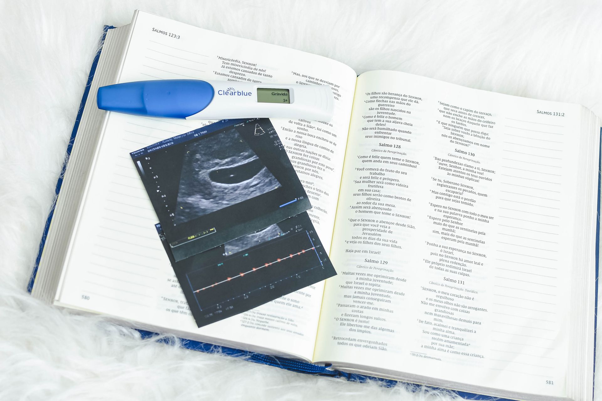 Studio Cida Lopes - 0 - 18