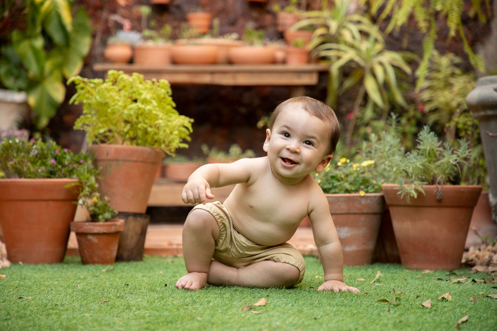 Acompanhamento - 2 - 1