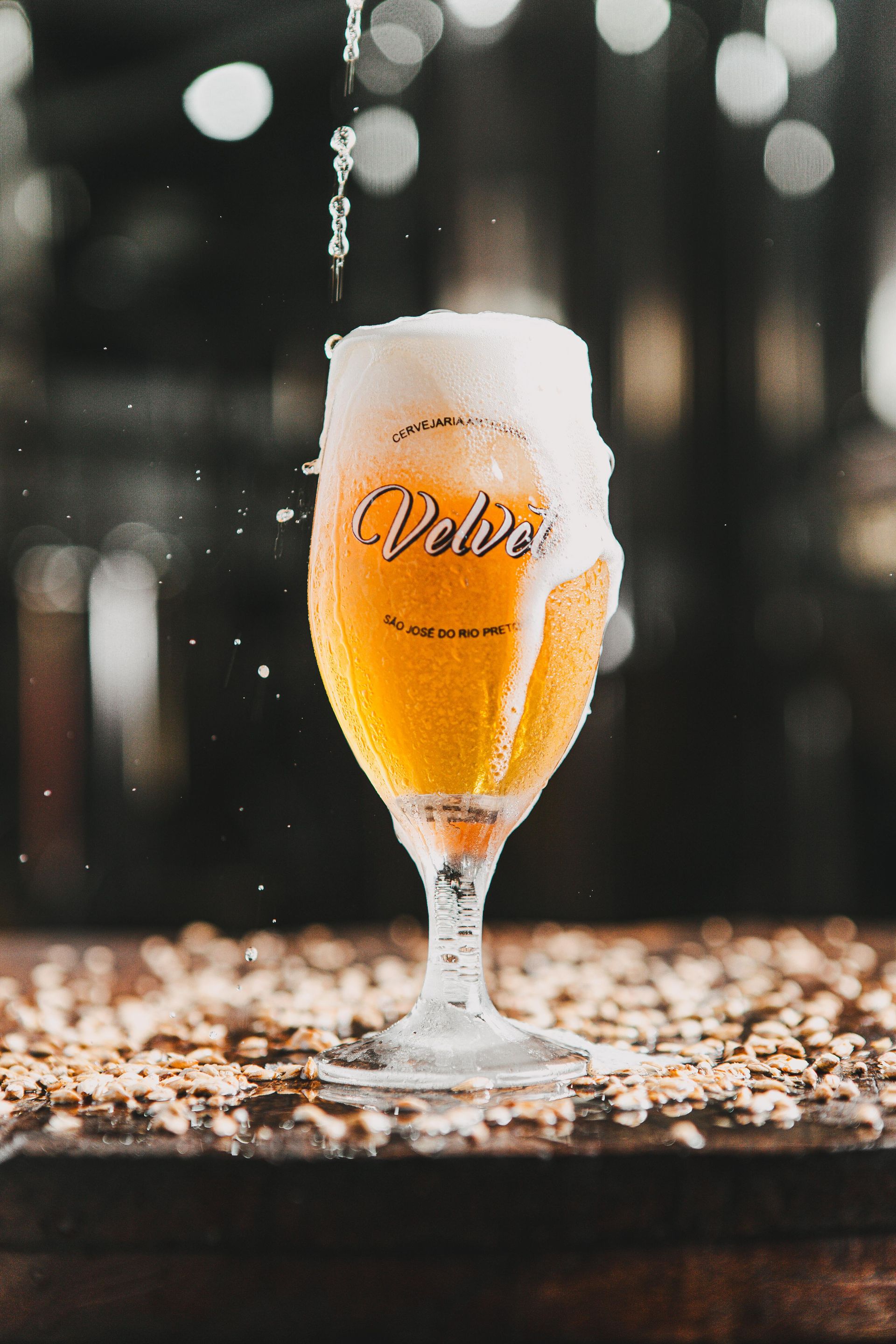 Gastronomia - 3 - 13