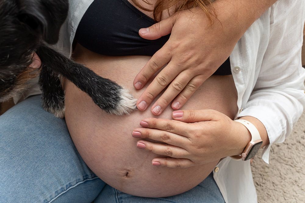 Ensaio gestante - Vem André - 1 - 9