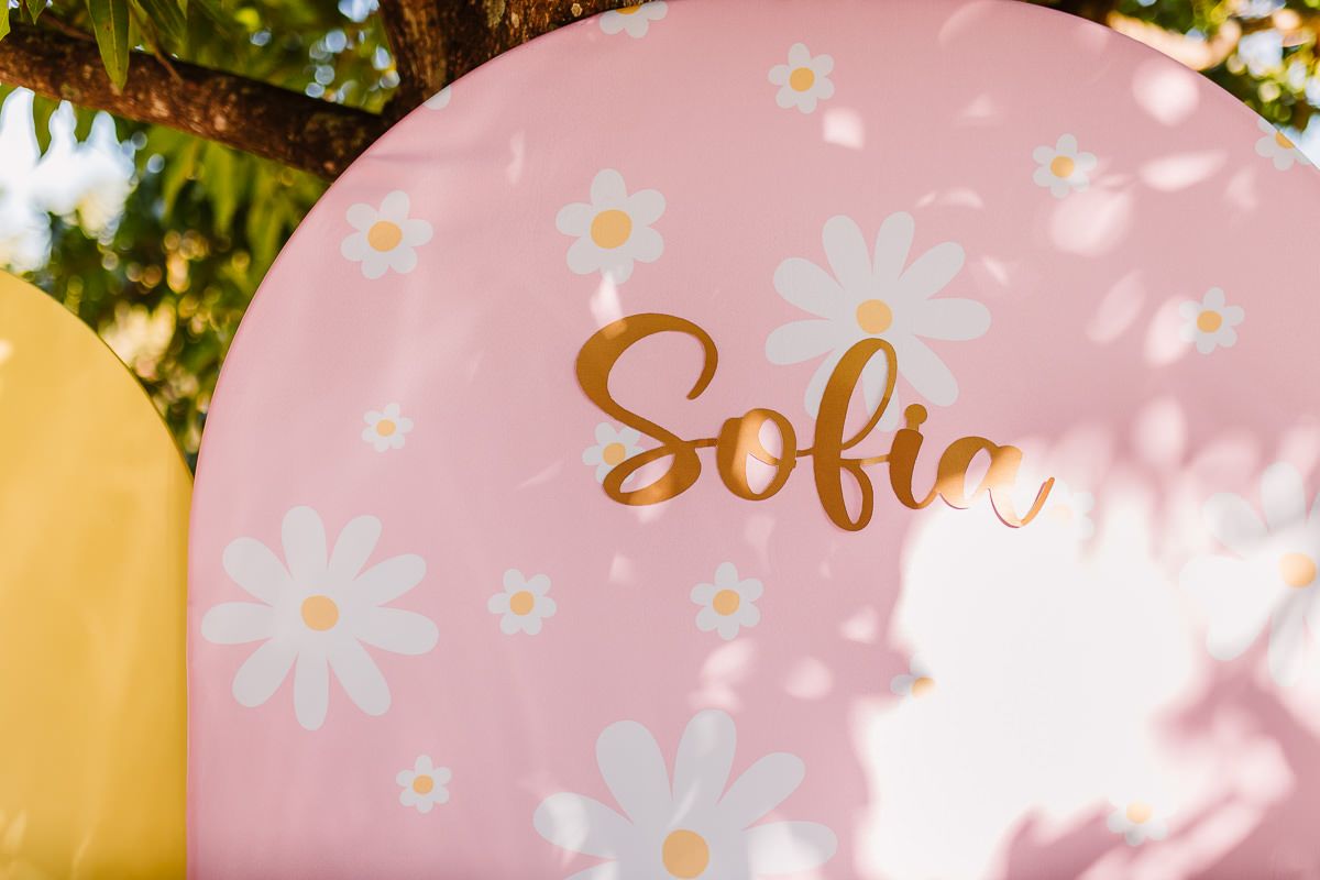 Sofia 1 ano - 2 - 3
