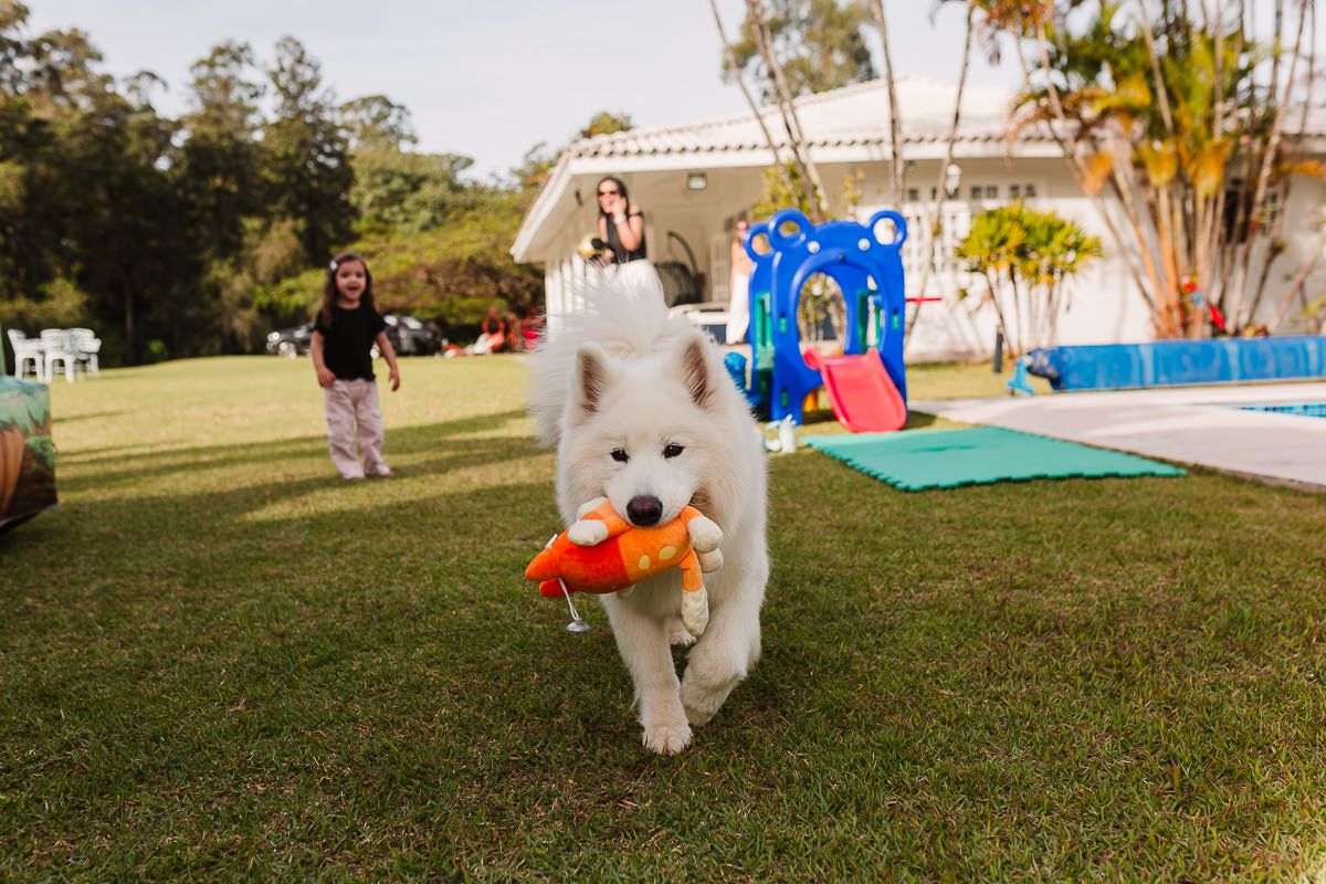 Henrique 3 anos - 2 - 18