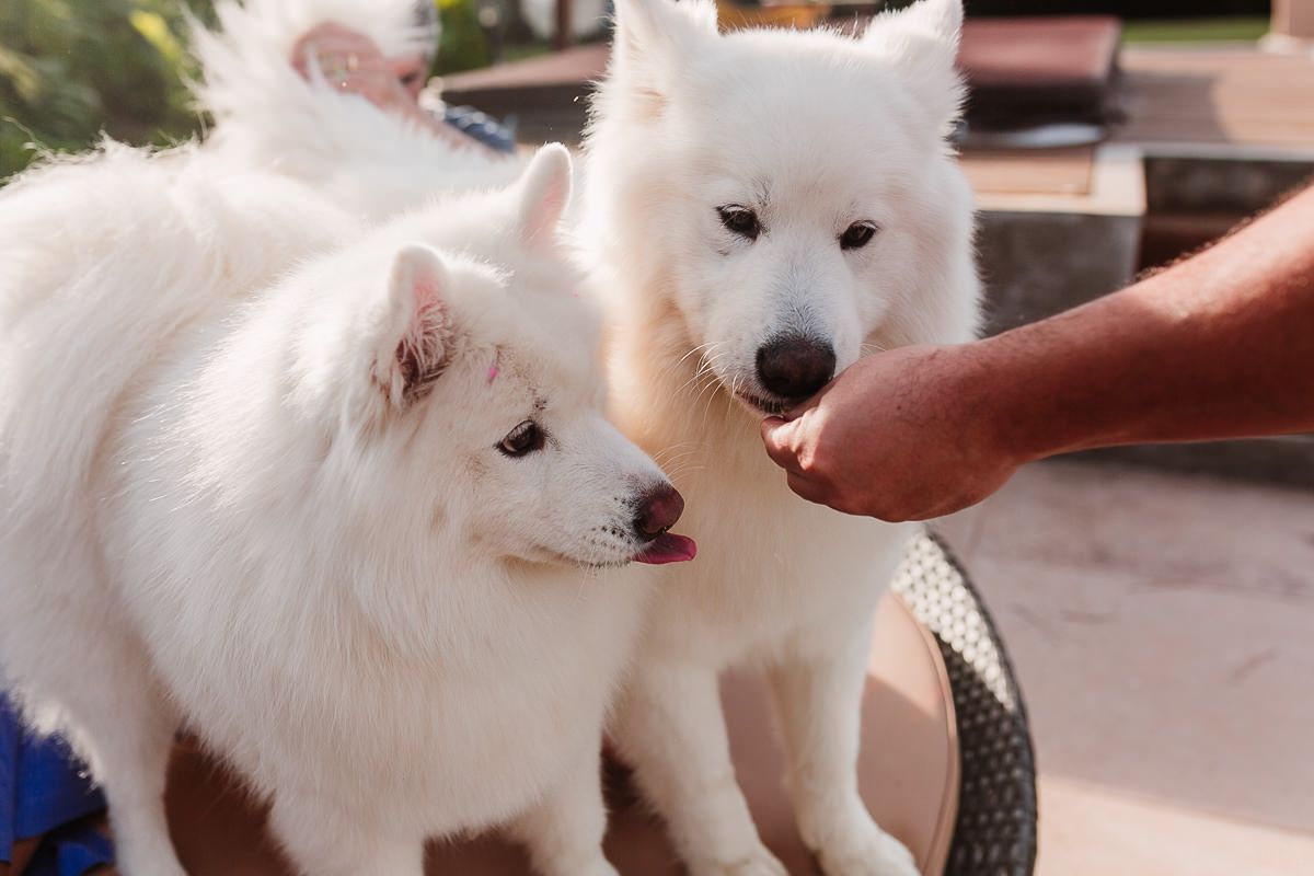 Henrique 3 anos - 2 - 21