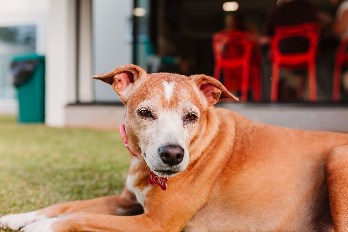 Henrique 3 anos - 2 - 23