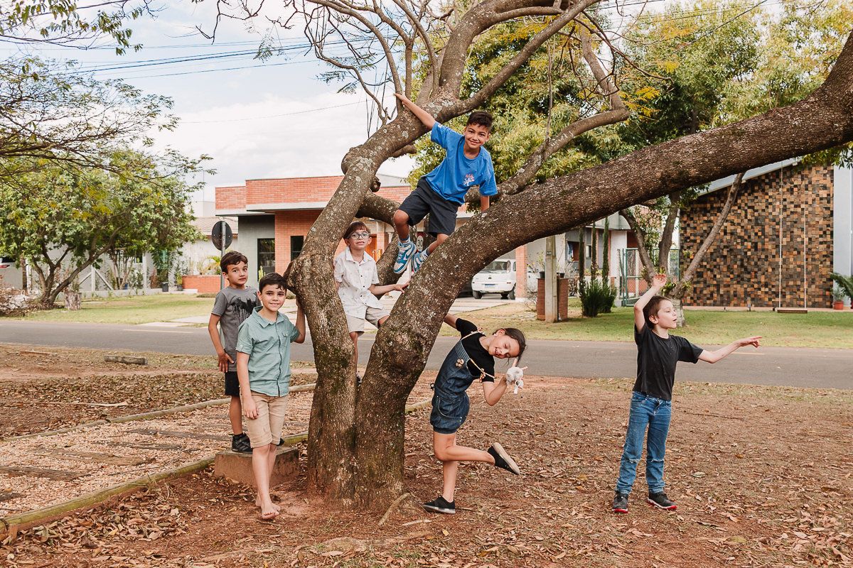 Bernardo 8 anos - 2 - 34