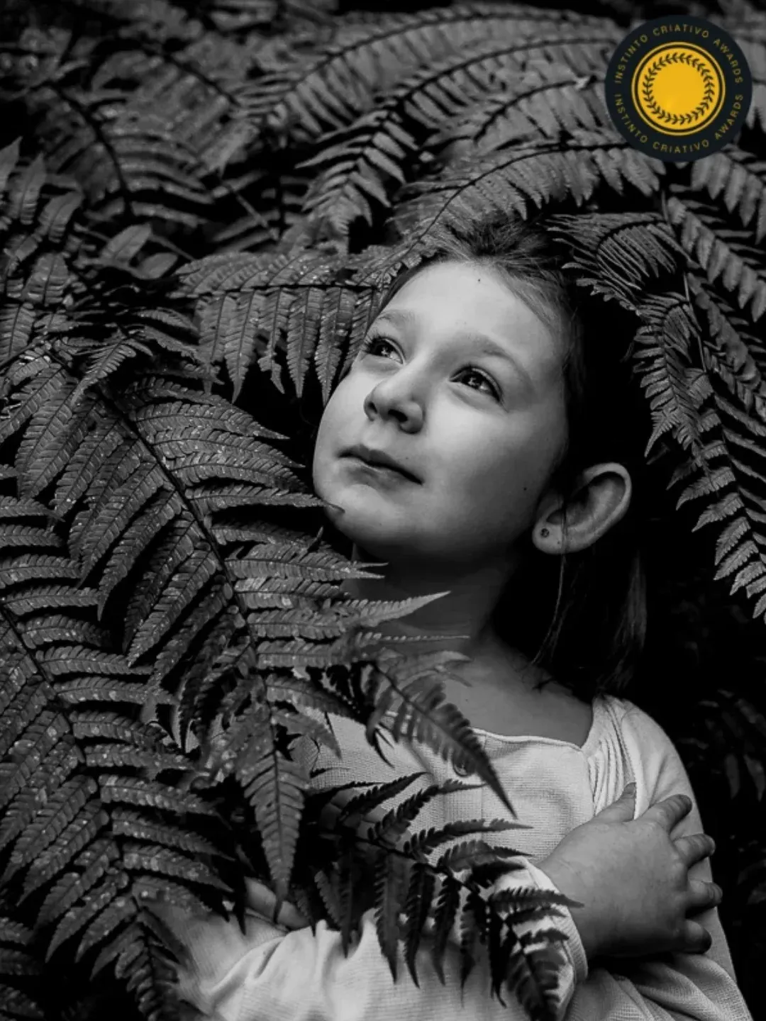 Fotos Premiadas - 1 - 2