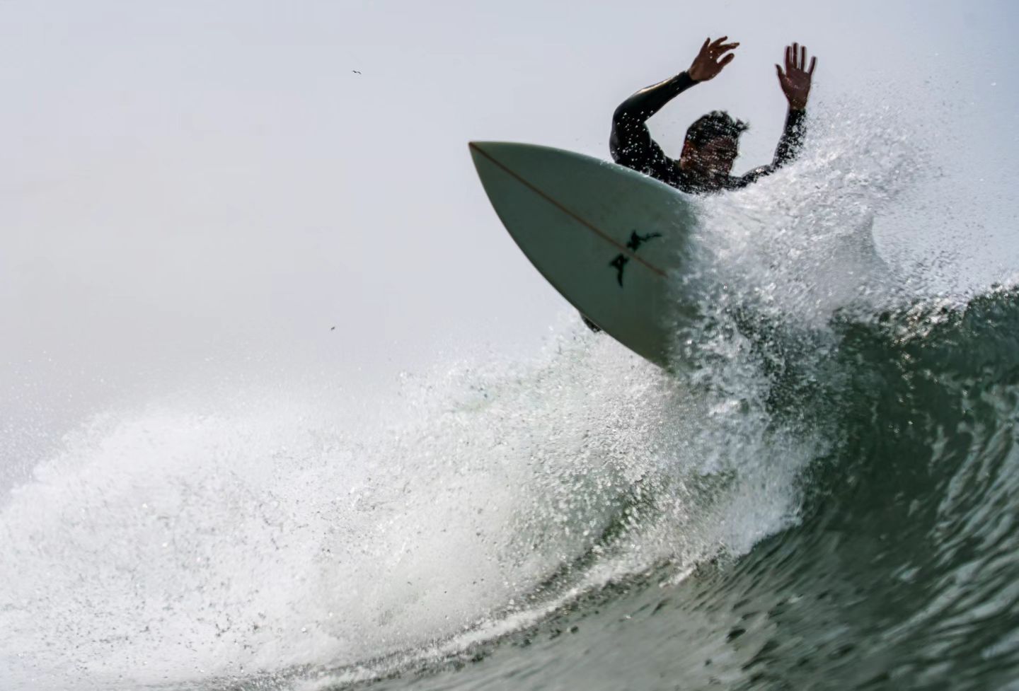 Surf - 1 - 3