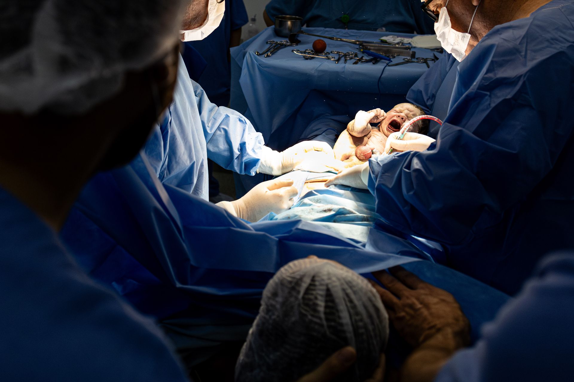 Bem-vindo Léo! - 1 - 3