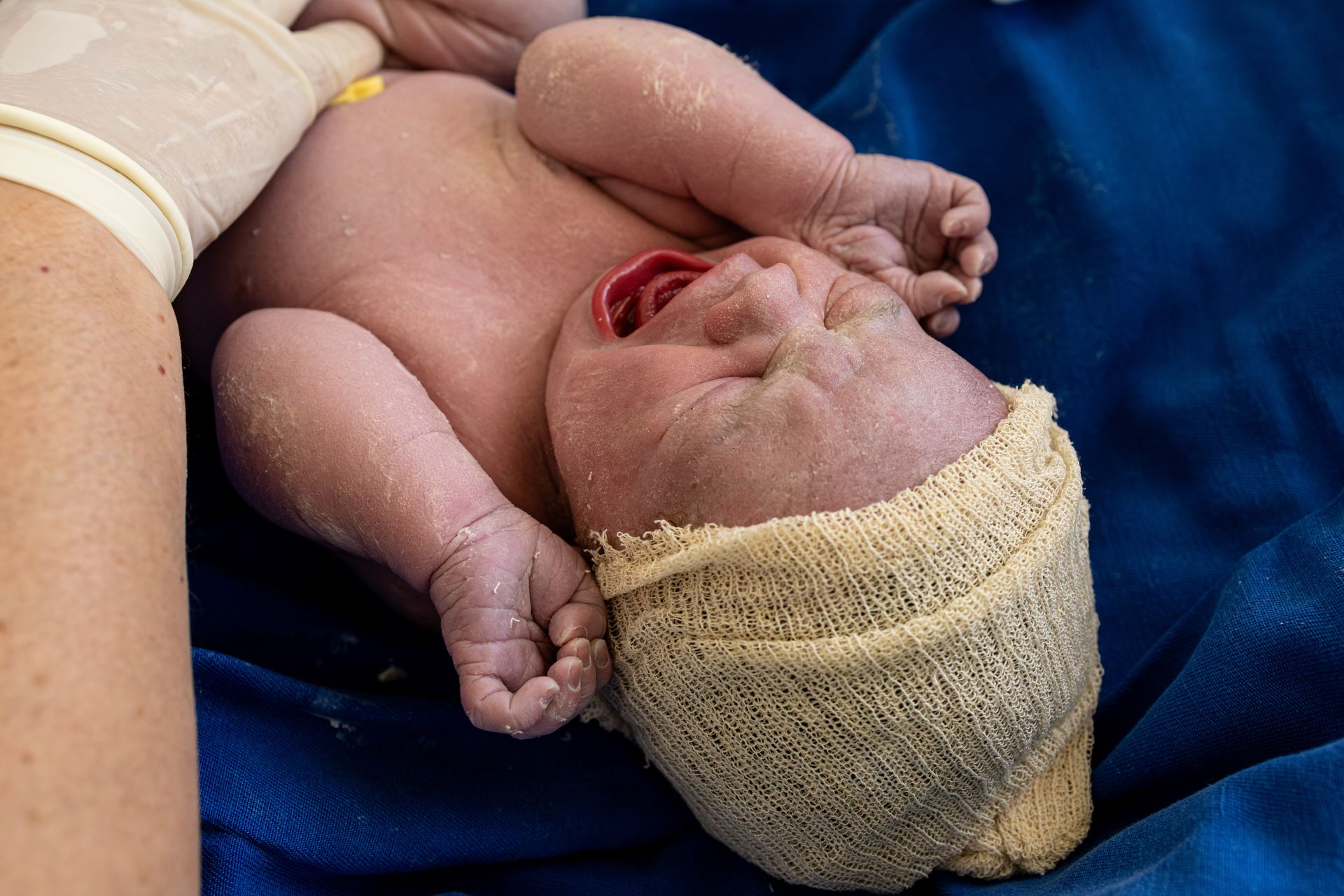 Bem-vindo Léo! - 1 - 1