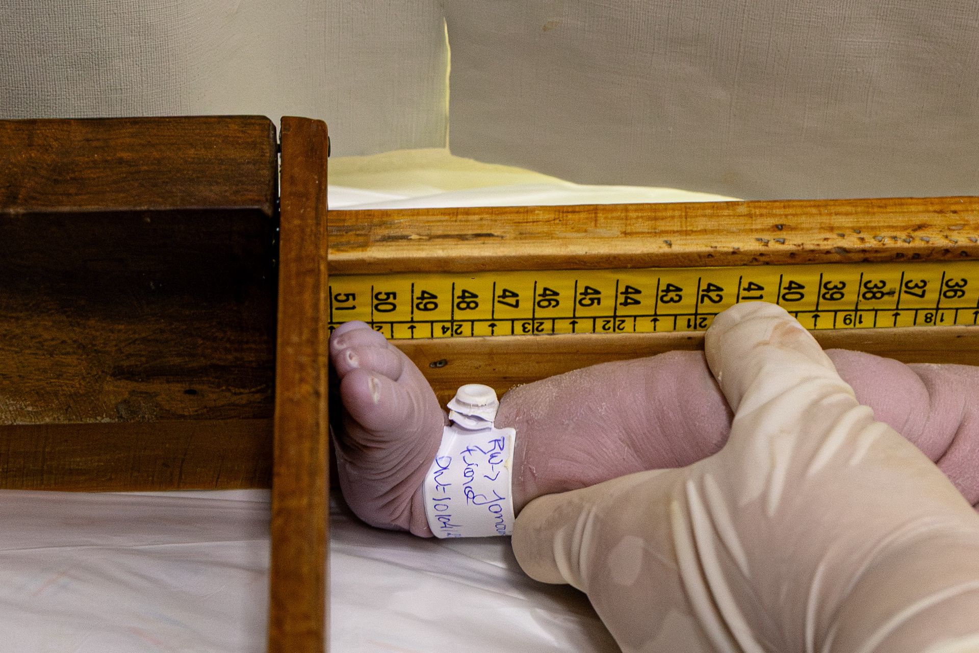 Bem-vindo Léo! - 1 - 2