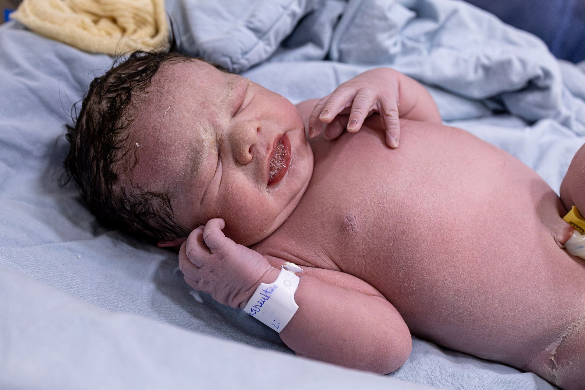 Bem-vindo Léo! - 1 - 1