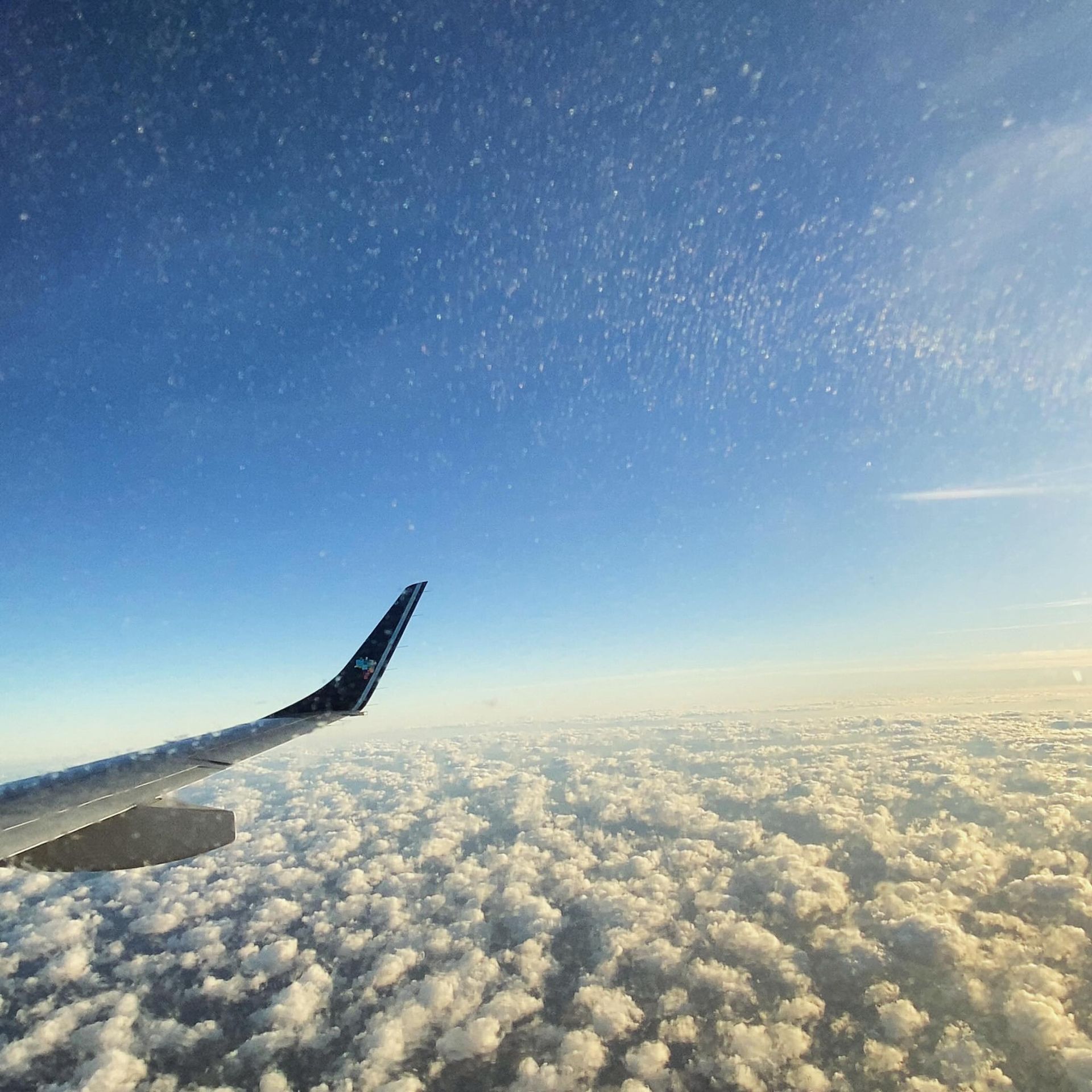 Poop Advisor - Slide 0