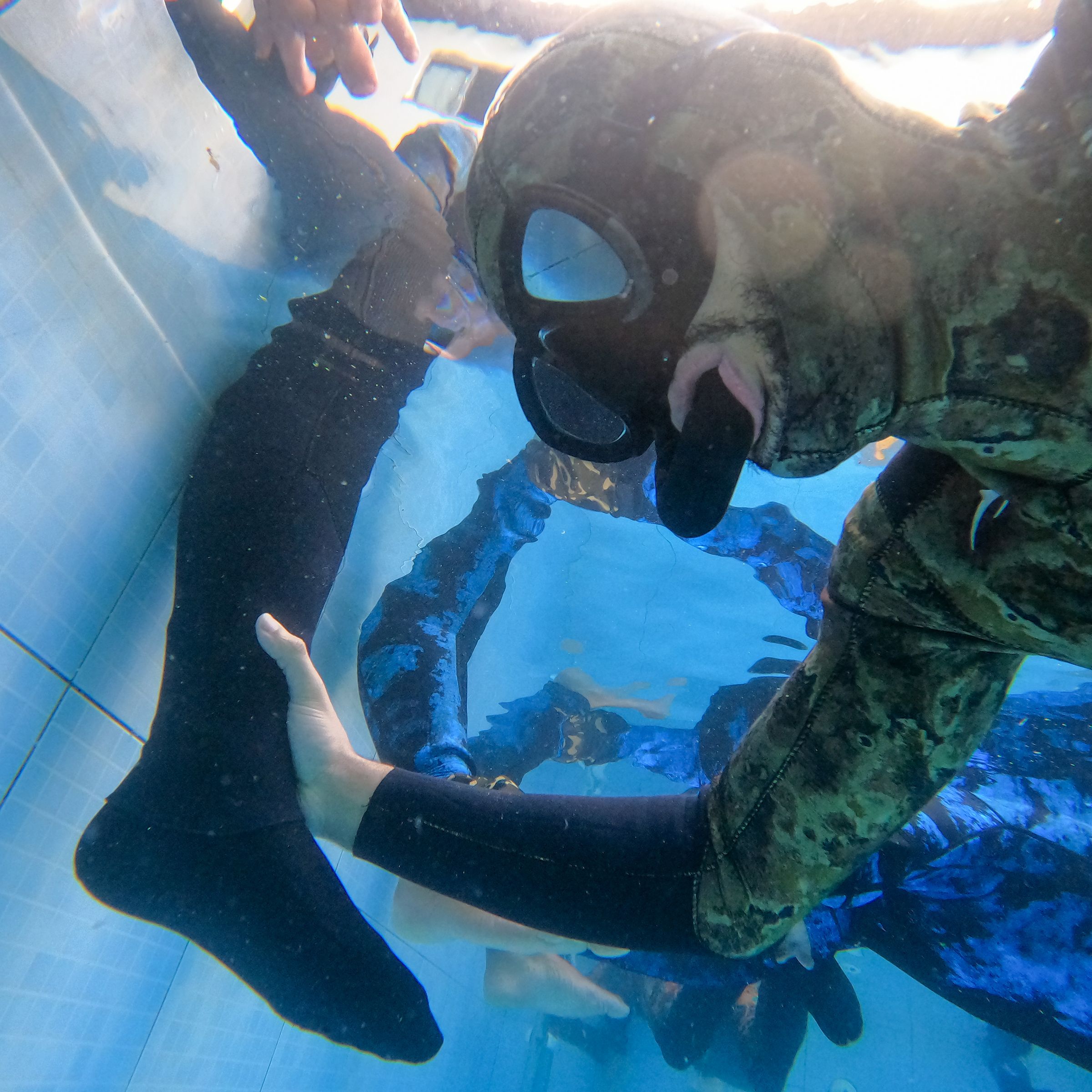 Curso de PESCA SUB em Vitória/ES - 4 - 29