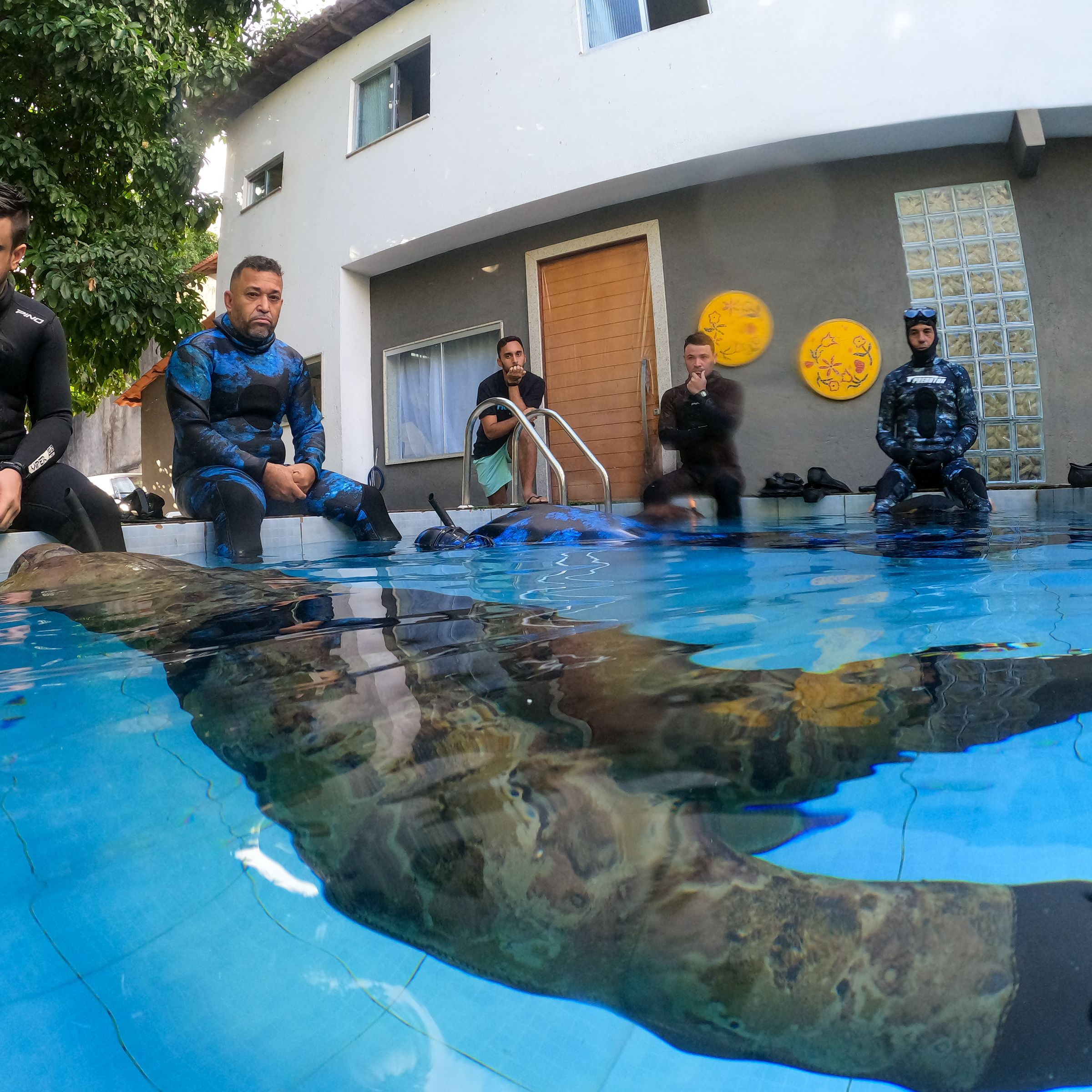 Curso de PESCA SUB em Vitória/ES - 4 - 32