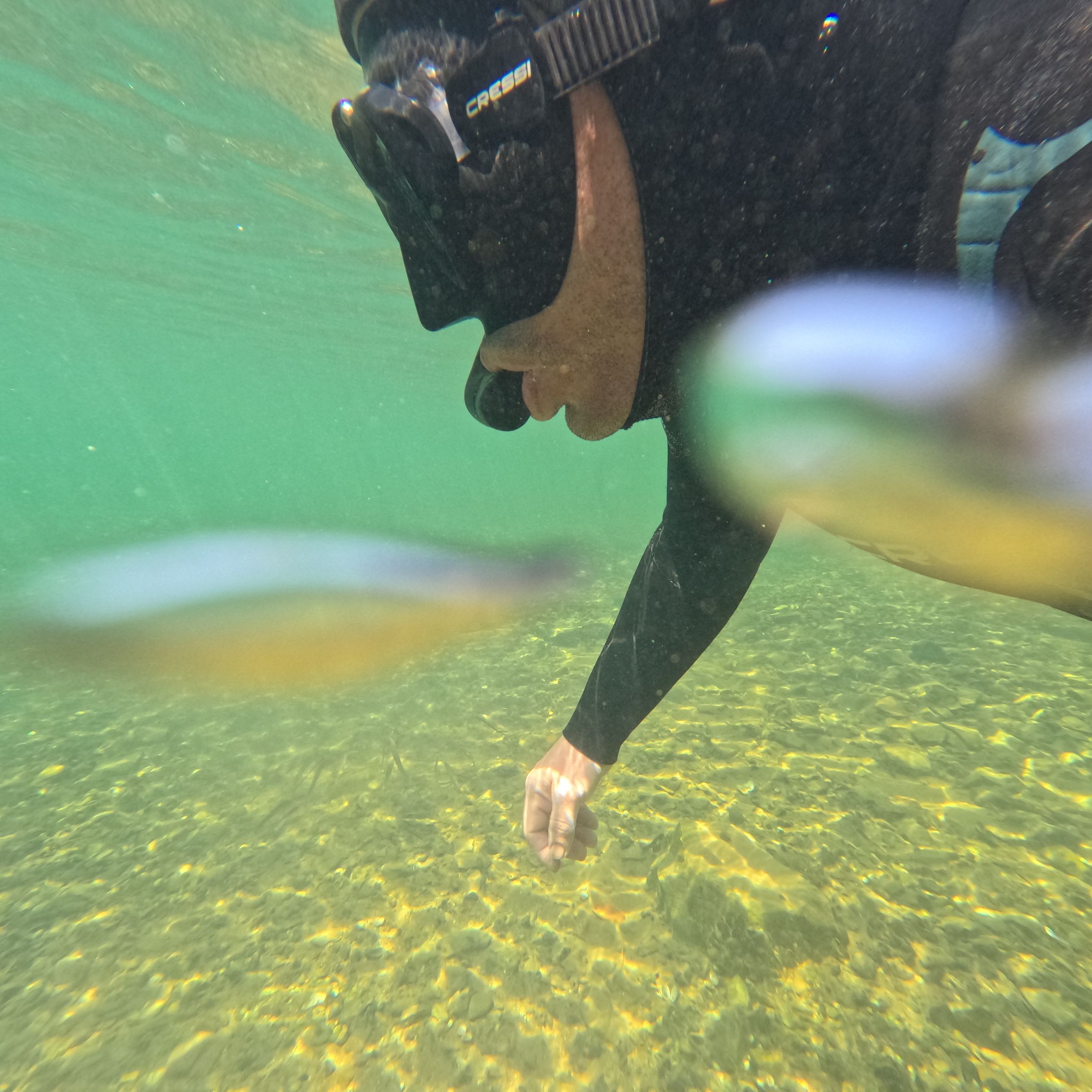 Curso de PESCA SUB em Rifaina/SP - 3 - 32