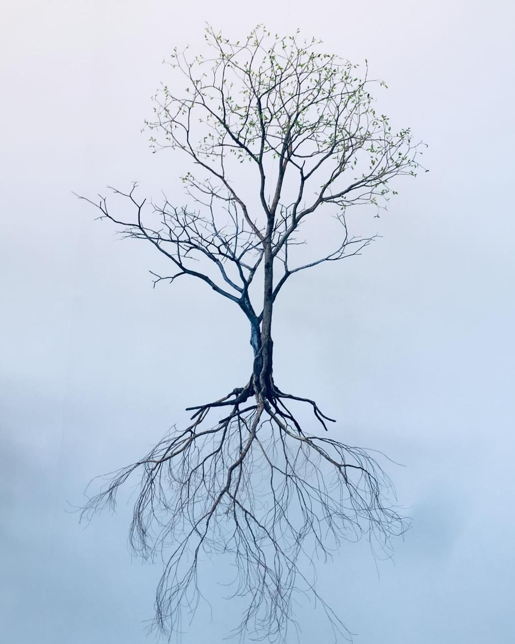 MAIOR FESTIVAL DE FOTOGRAFIA FEITA COM CELULAR DA AMERICA LATINA - 2 - 0