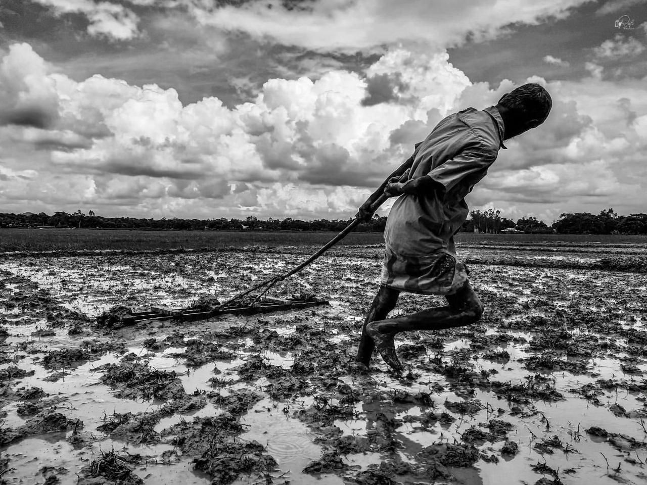 MAIOR FESTIVAL DE FOTOGRAFIA FEITA COM CELULAR DA AMERICA LATINA - 2 - 0