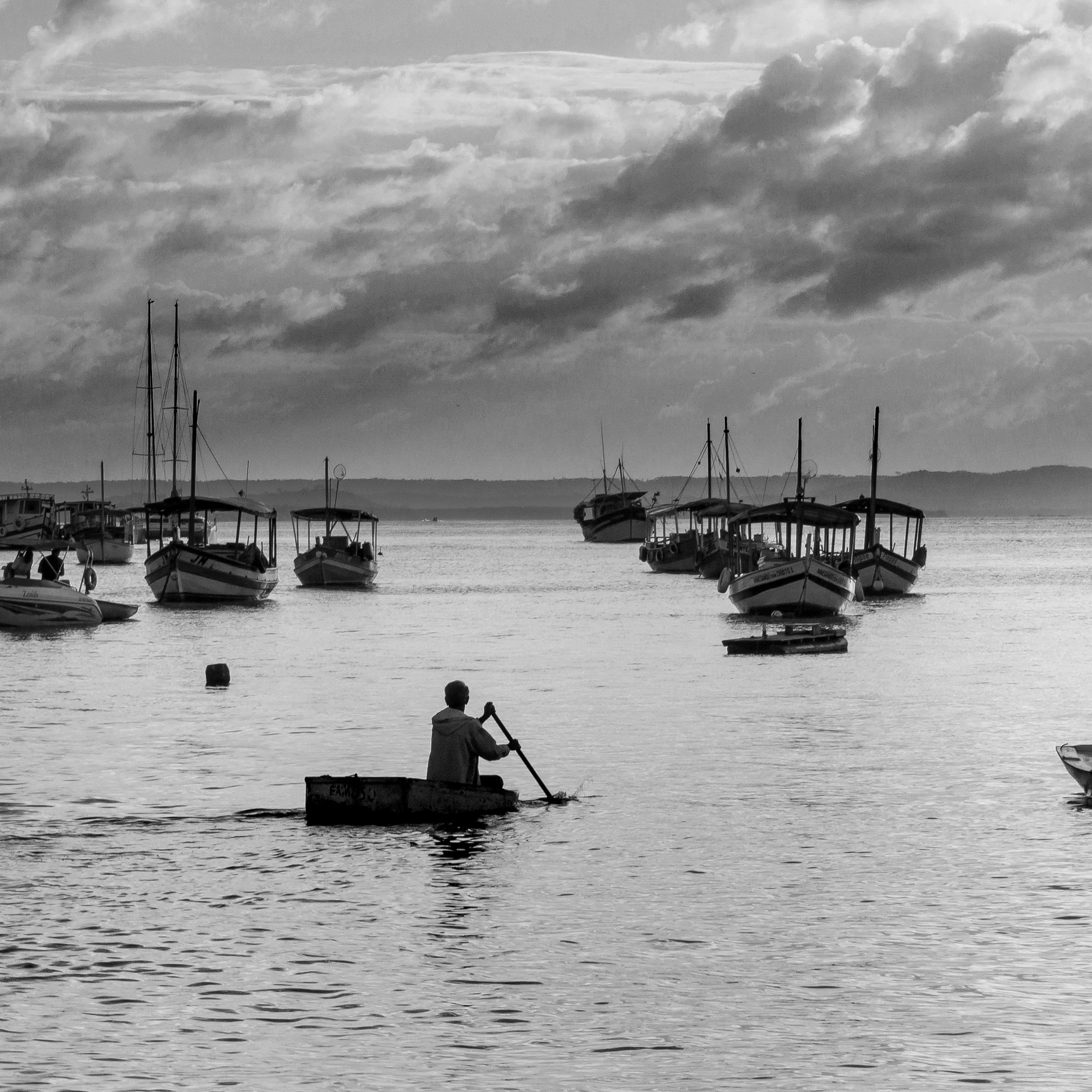 Fotos Aceitas e Premiadas - 3 - 13