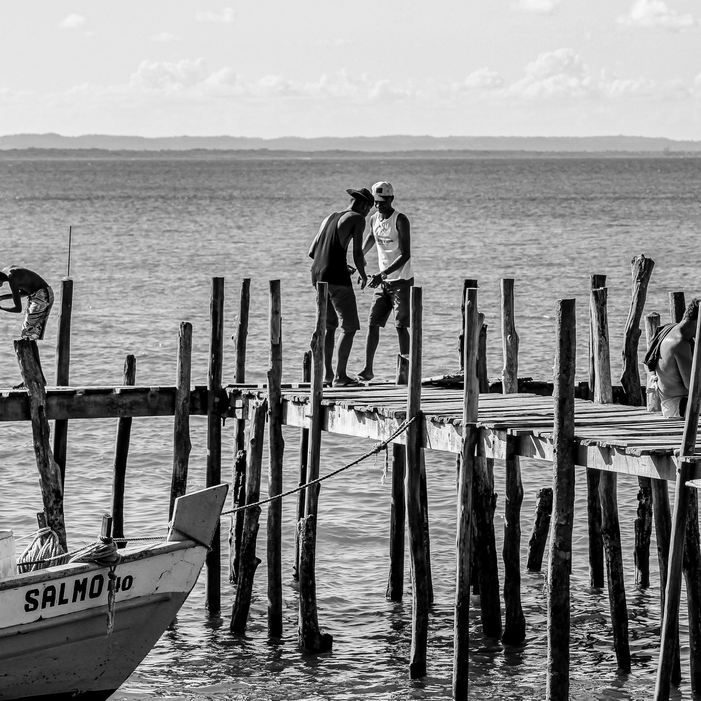 Fotos Aceitas e Premiadas - 2 - 9