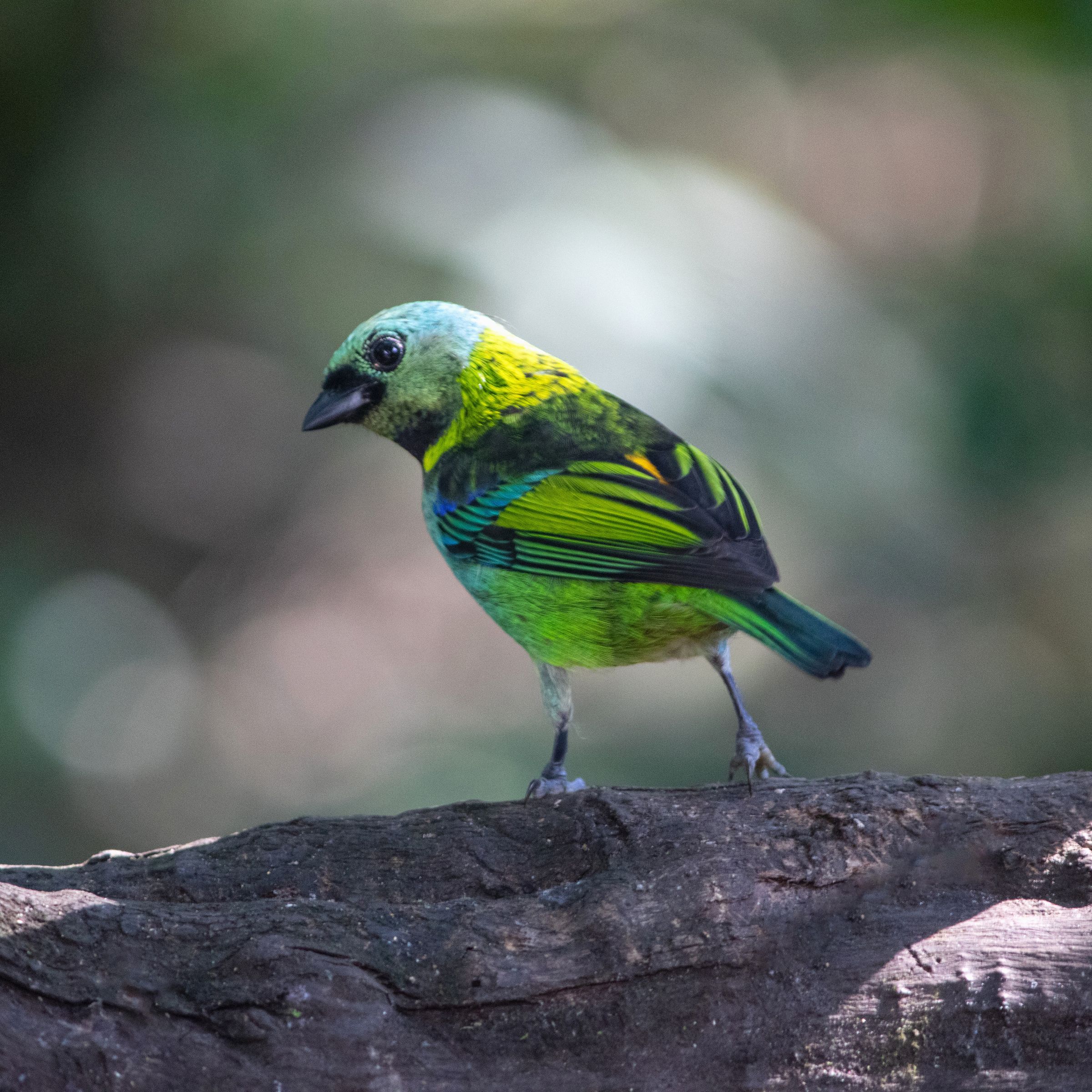 Fotos Aceitas e Premiadas - 2 - 8