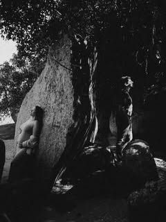 Fotógrafo casamento e ensaios, Florianópolis, Rafa Fontana - 1
