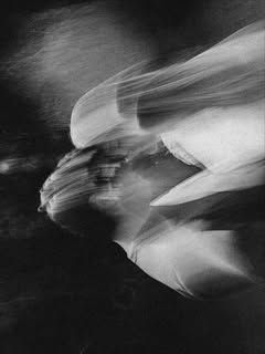 Fotógrafo casamento e ensaios, Florianópolis, Rafa Fontana - 8