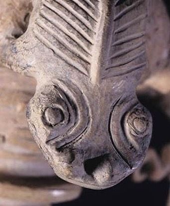 5 Terra Preta da Amazônia - 7