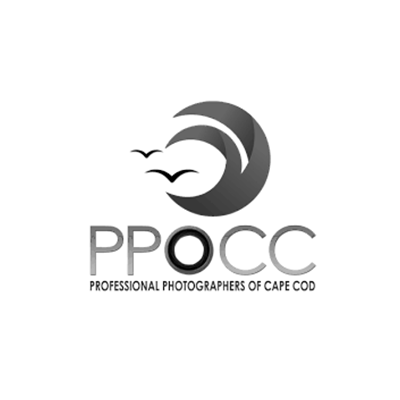 Decastro Photography - 4