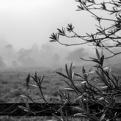 Vida na roça - Flávia Linhares - 1 - 1