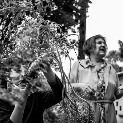 Vida na roça - Flávia Linhares - 1 - 2