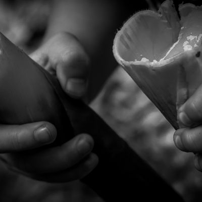 Vida na roça - Flávia Linhares - 1 - 0