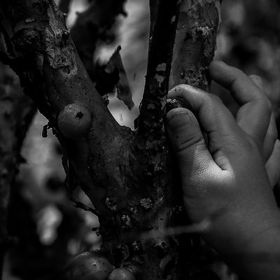 Vida na roça - Flávia Linhares - 1 - 0