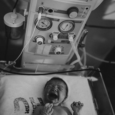 Nascimento de Gordey - Daria Ermolaev - 1 - 2