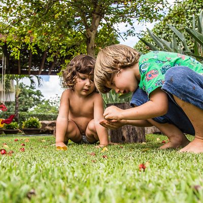 Família Figueiredo Ita - Carol Belini - 1 - 3