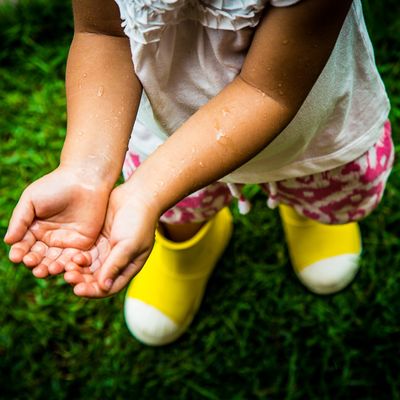 Família Figueiredo Ita - Carol Belini - 1 - 1