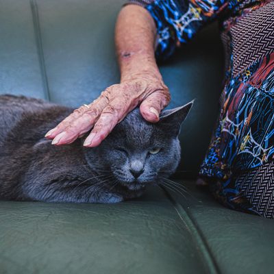 Val Cordeiro - 2 - 0