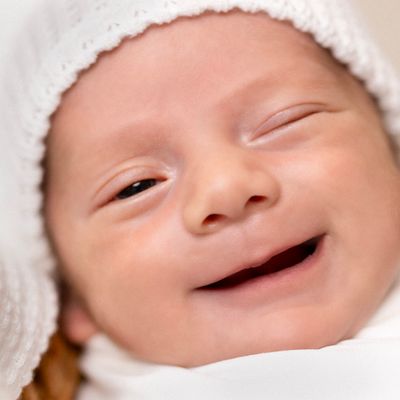 Fotomestria Fotografia - 0 - 0