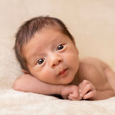 Fotomestria Fotografia - 0 - 1