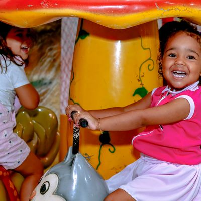 Welton Cobra Fotografo - 1 - 1