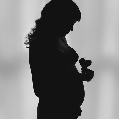 Studio Cida Lopes - 0 - 0