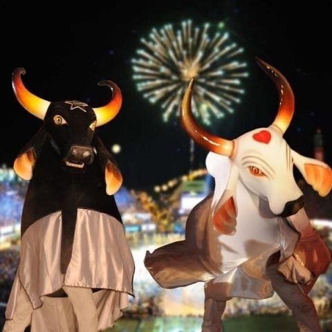 Bumba meu boi ou Boi Bumbá - 6