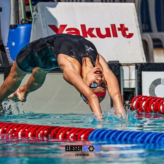 Brasileiros de Categoria - 2 - 17